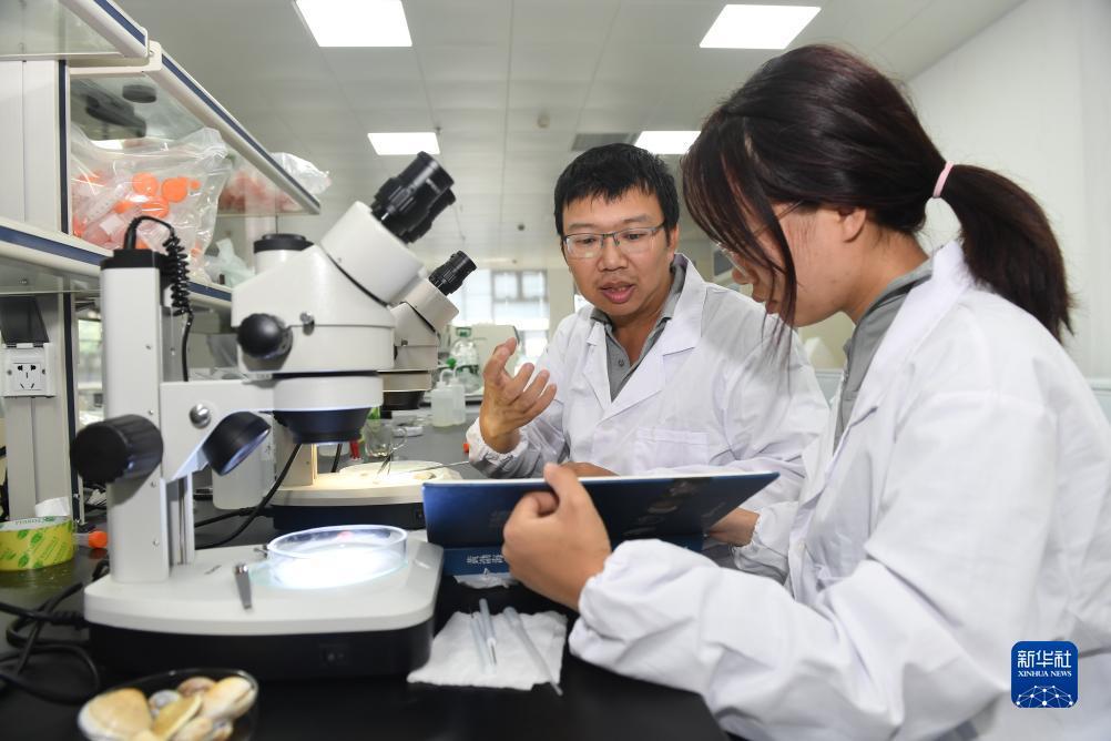 百家了庄闲技巧赌必胜